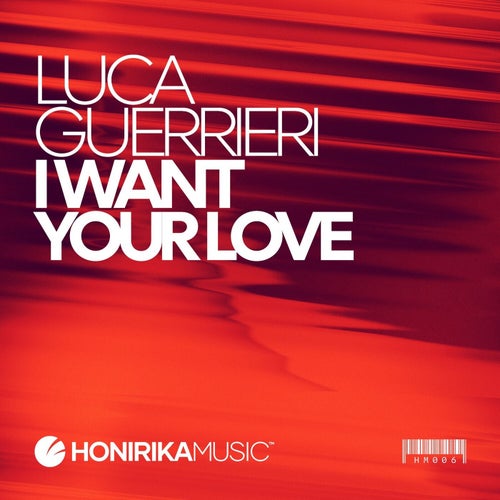 I Want Your Love