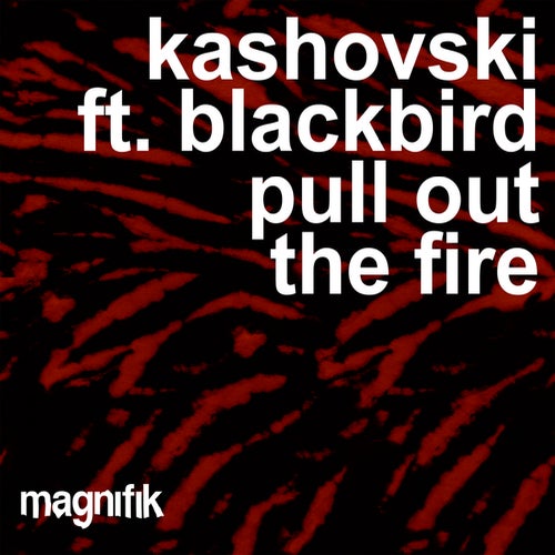 Pull Out The Fire