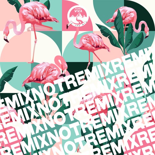 Cover art for Remix Not Remix