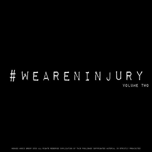 #WEARENINJURY, Volume Two