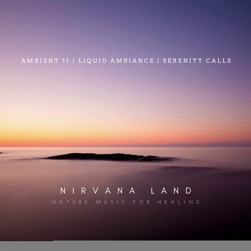 Cover art for Nirvana Land - Nature Music For Healing