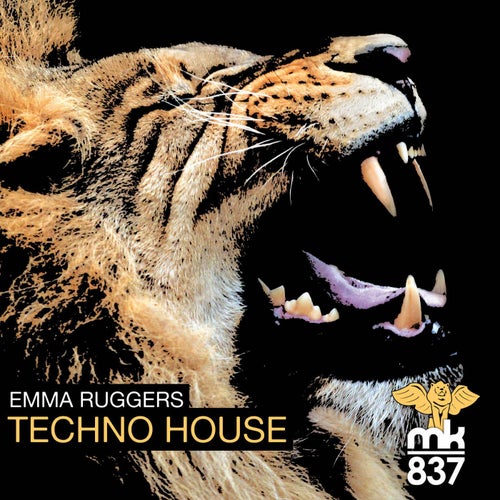 Techno House