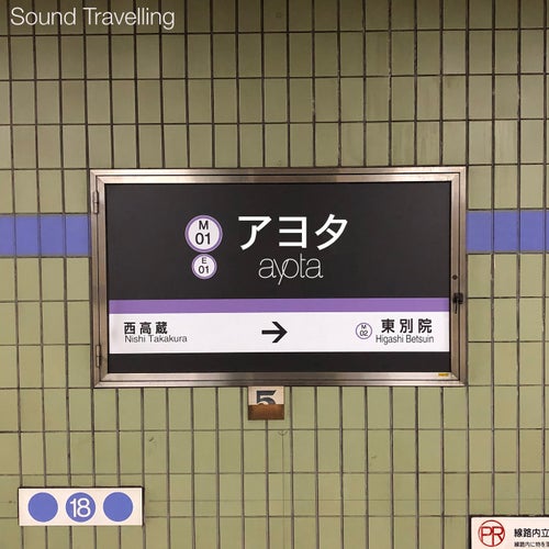 Cover für Sound Travelling