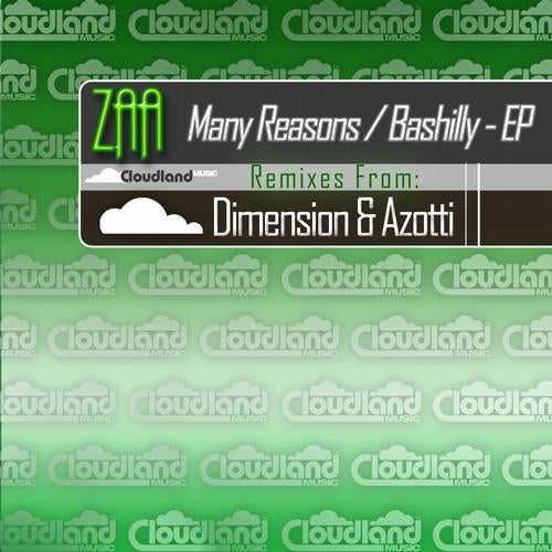 Many Reasons / Bashilly EP