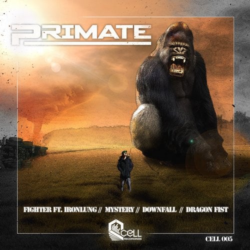 Cover art for Fighter