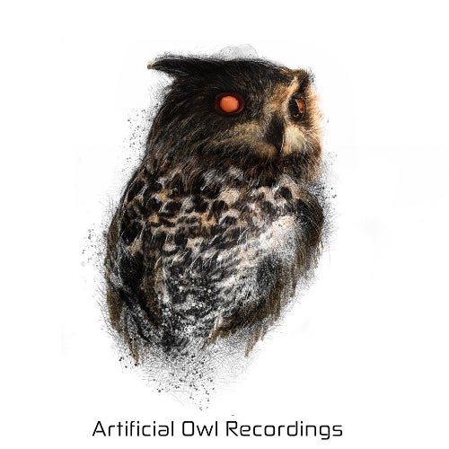 Artificial Owl Recordings