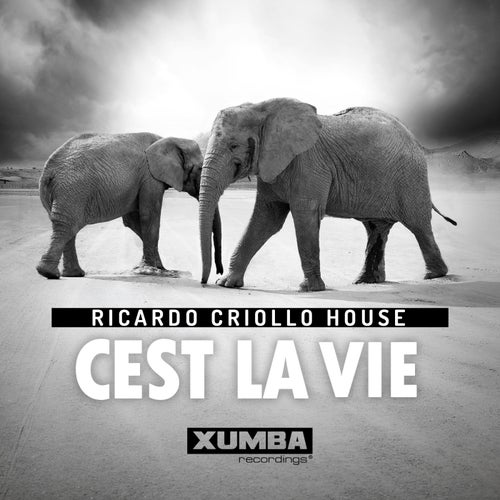 Cest La Vie