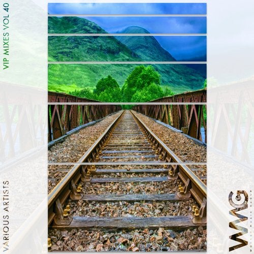 Cover art for VIP Mixes, Vol. 40