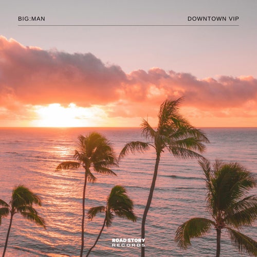Downtown VIP