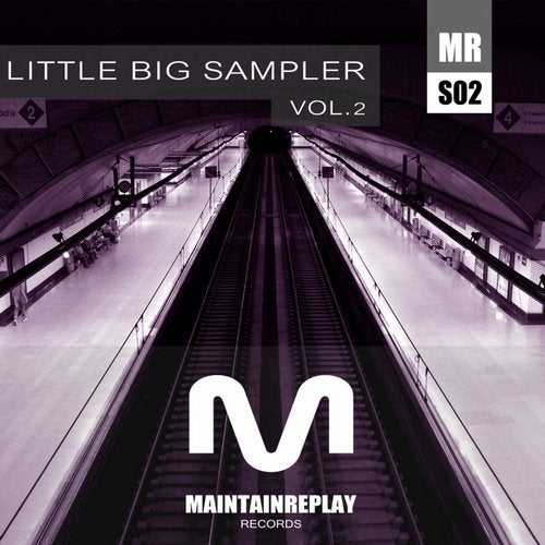 Little Big Sampler Vol. 2