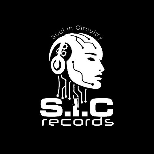 Soul in Circuitry Records
