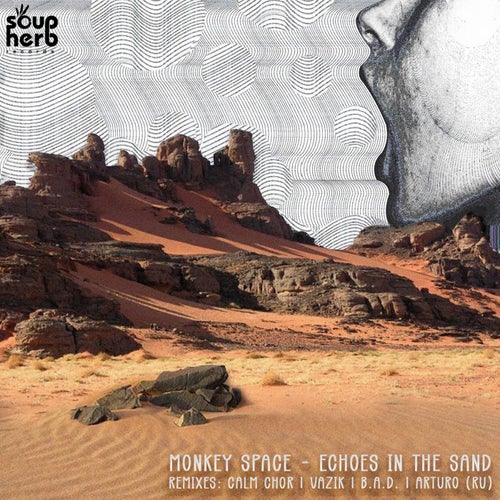 Echoes in the Sand