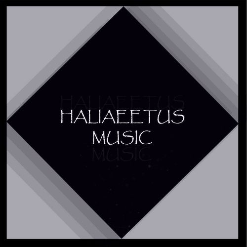 Haliaeetus Top 10 Minimal November 2019