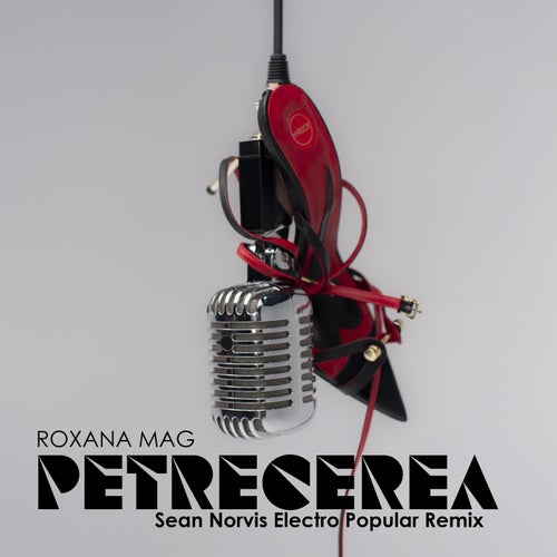 Petrecerea - Sean Norvis Electro Popular Remix