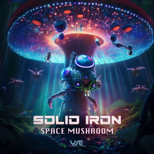  Solid Iron - Space Mushroom (2024) 