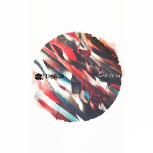 Traxacid Limited Sampler 04