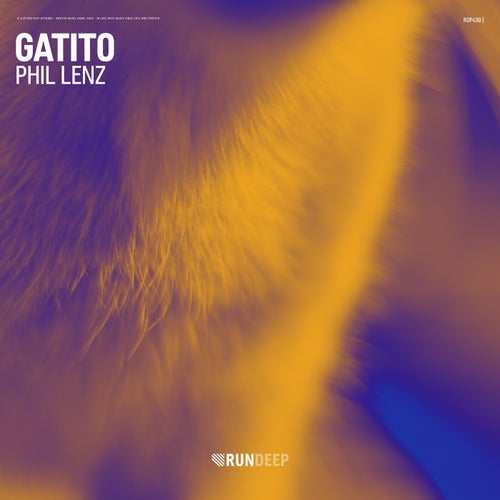 Gatito
