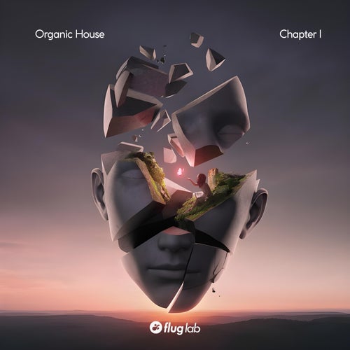 VA - Organic House - Chapter I FLAB082