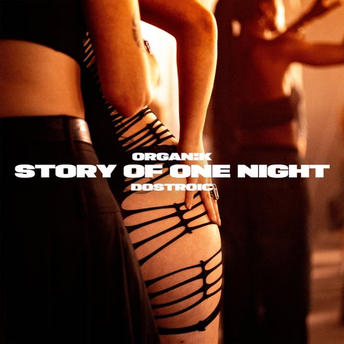 STORY OF ONE NIGHT