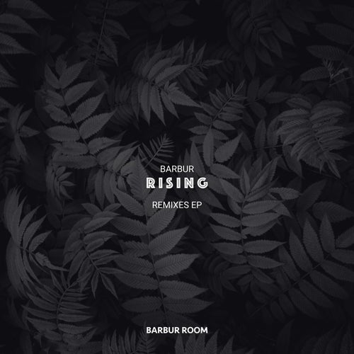Rising Remixes EP