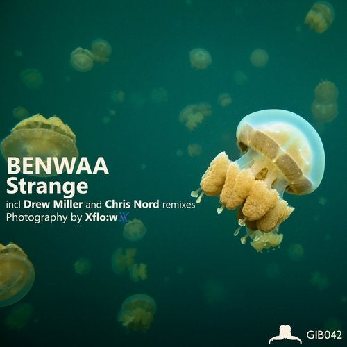 Cover art for Strange
