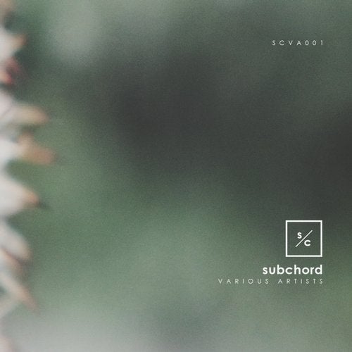 Cover art for SCVA001