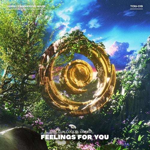 Feelings For You