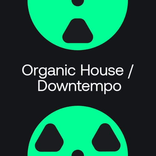 In The Remix 2024: Organic House / Downtempo