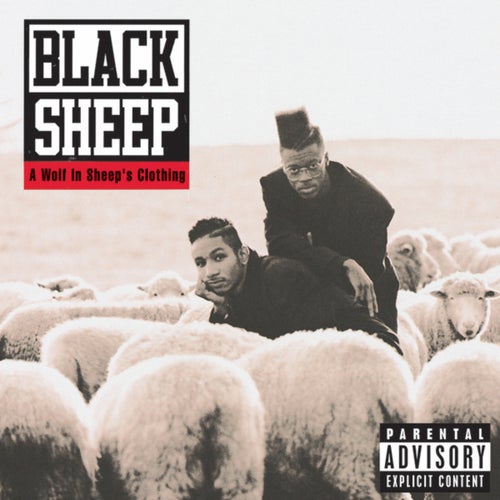 A Wolf In Sheep's Clothing