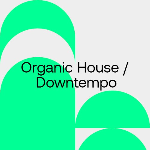 Festival Essentials 2023: Organic H/D