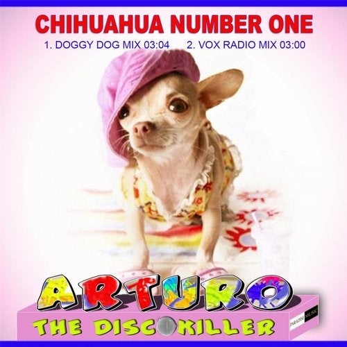 Chihuahua Number One