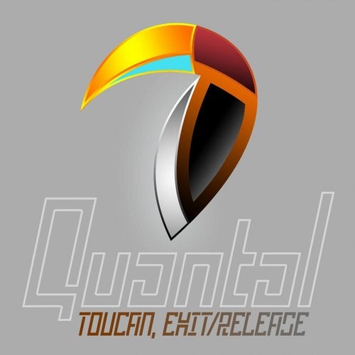 Cover art for Toucan