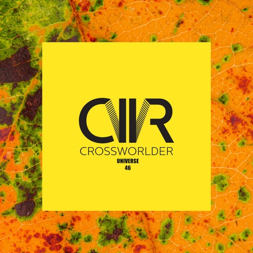 Crossworlder Universe 46