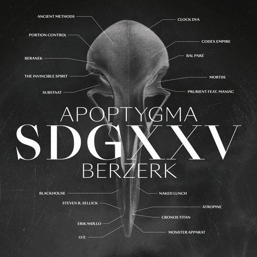Cover art for SDGXXV
