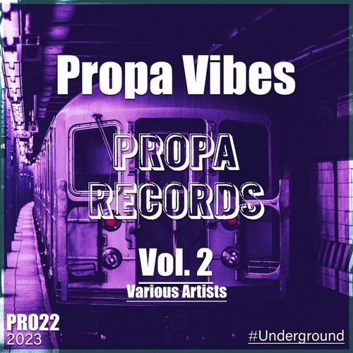 Propa Vibes Vol. 2