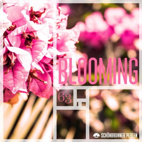 Blooming
