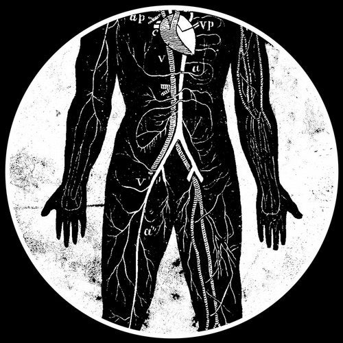 Cover art for Abysse