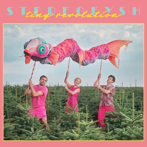 Cover art for Tiny Revolution