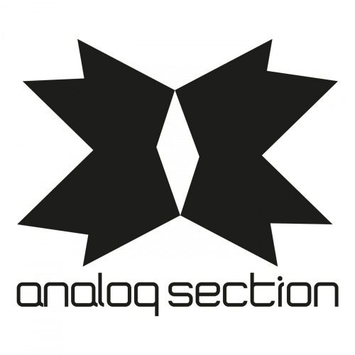 Analog Section Records