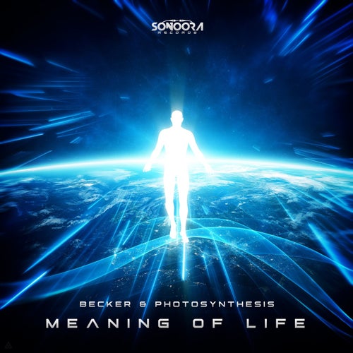 Meaning Of Life