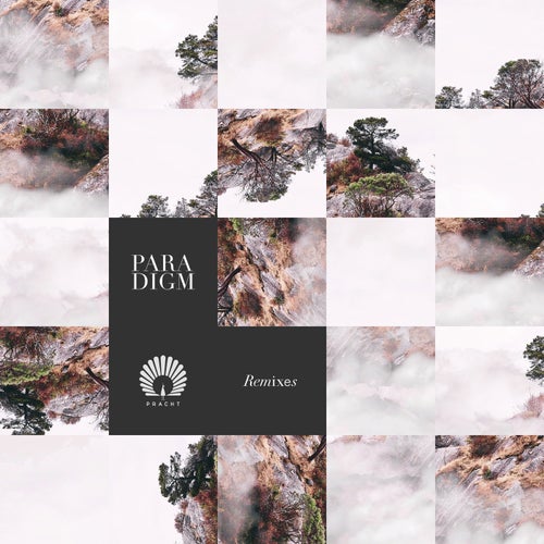 Cover art for Paradigm Remixes