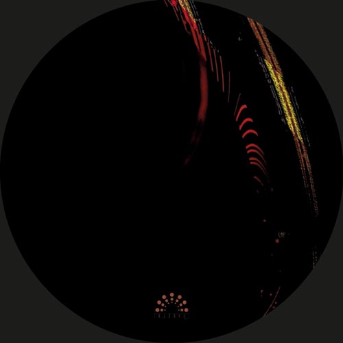 Cover art for Modulat Immersion