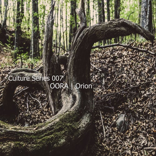 Culture Series 007