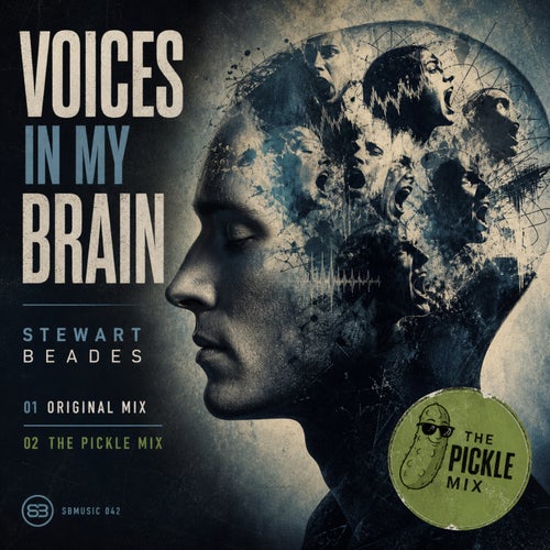 Voices in my Brain