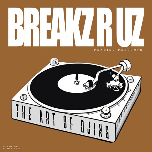  THE ART OF DJING