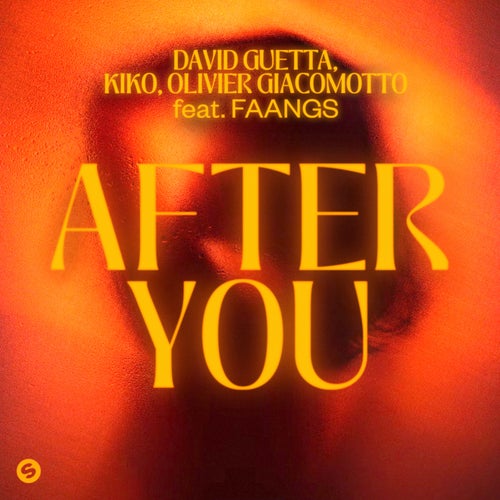 After You (feat. FAANGS) (Extended Mix)
