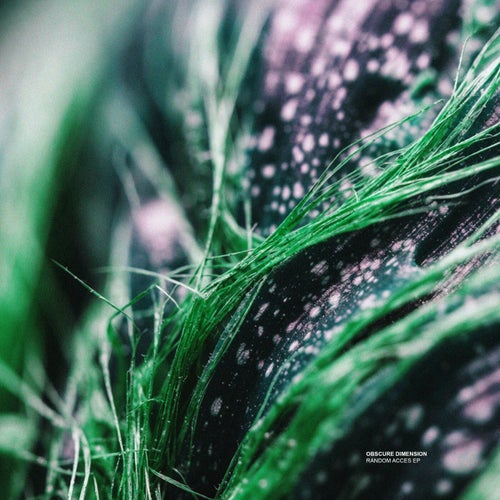 Random Acces EP