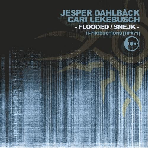 Flooded / Snejk