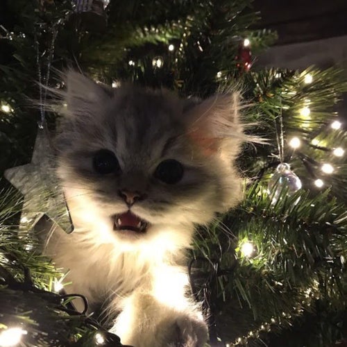 HH (Happy Holidays)