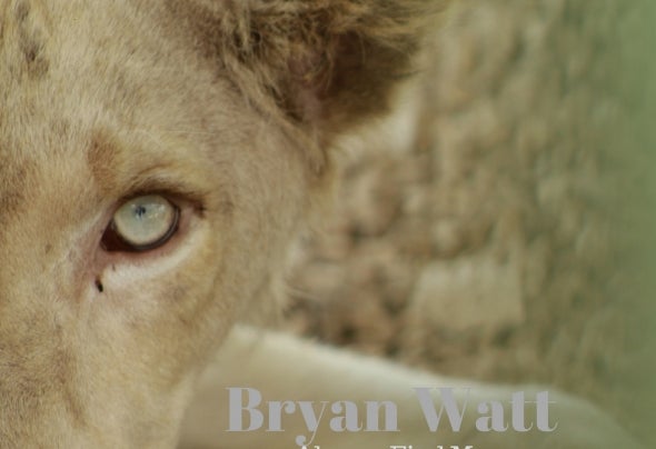 Bryan Watt